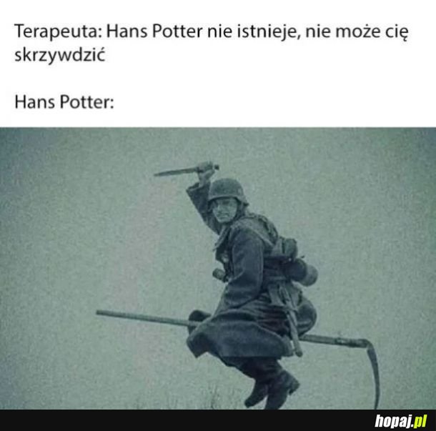 Hans Potter - Die neuen Abenteuer.