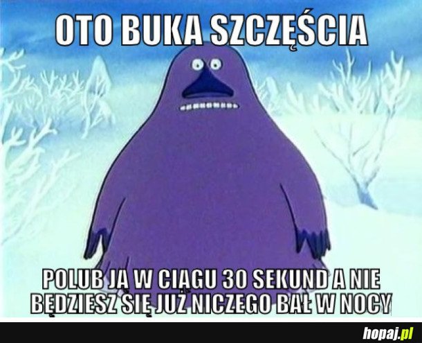 BUKA SZCZĘŚCIA