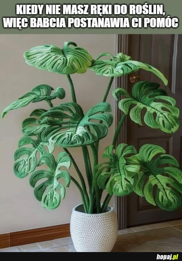 Szydełkowa monstera