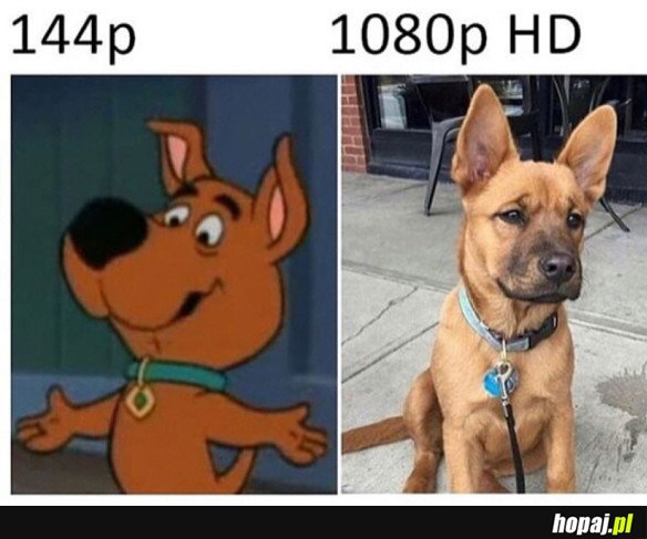 SCRAPPY-DOO W WERSJI HD