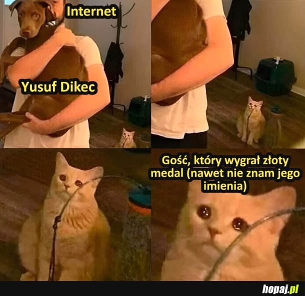Gwiazda internetu
