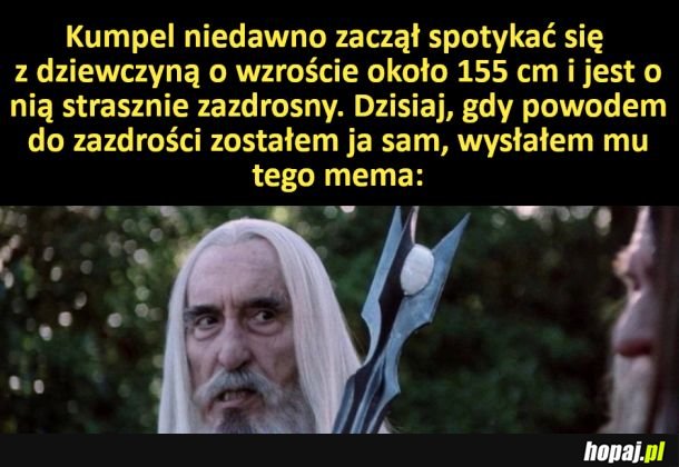 Miłość doi niziołków całkowicie zaćmiła twój rozum