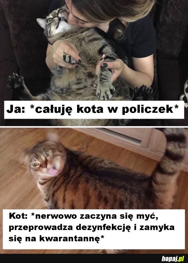 Standard