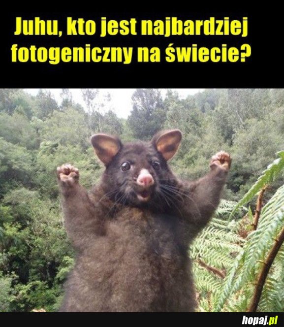 SŁODKIE SELFIE