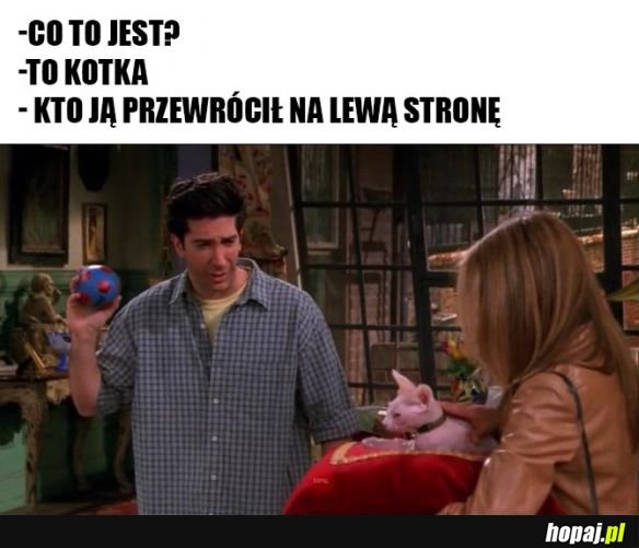 Przyjaciele