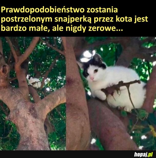 Young snajper
