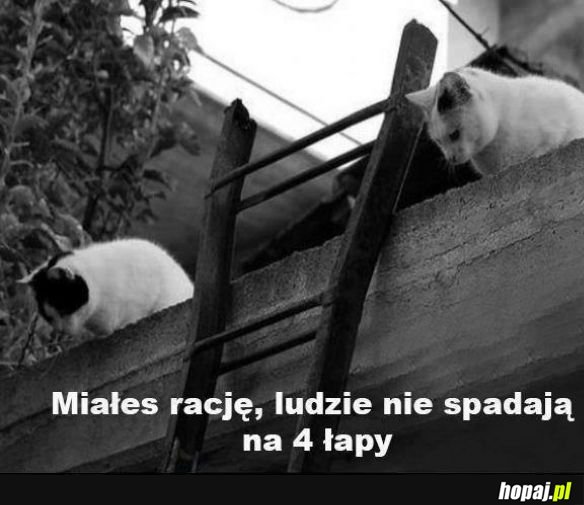 Ludzie nie ogarniają