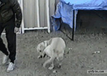 :D