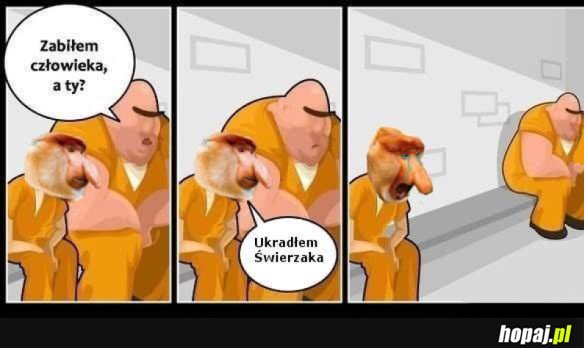 STRACH SIĘ BAĆ