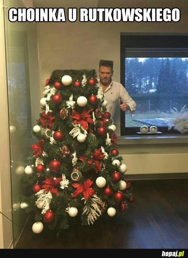CHOINKA U DETEKTYWA