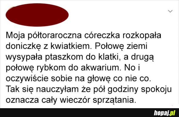 Cena spokoju