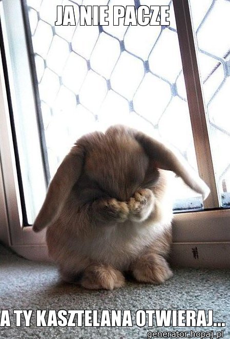 JA NIE PACZE