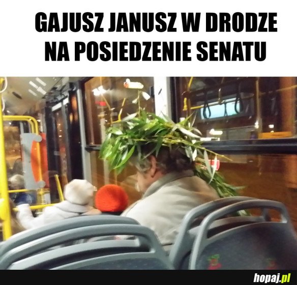 RZYMSKI POLITYK