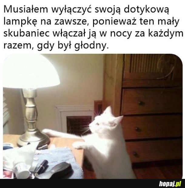 Czarodziejska lampka