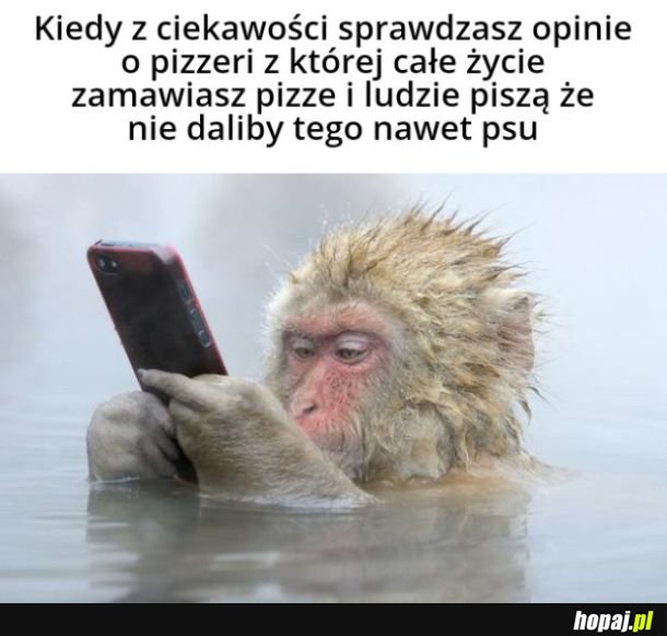 Może nie mam gustu