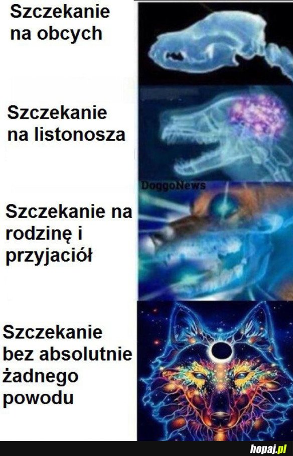 PSIA LOGIKA