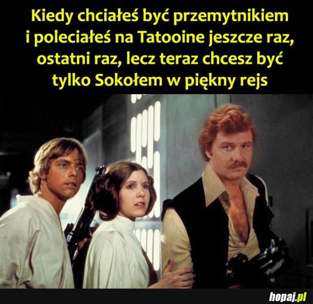 Krzysiu Krawczyk