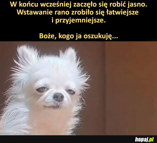 Kogo ja oszukuję...