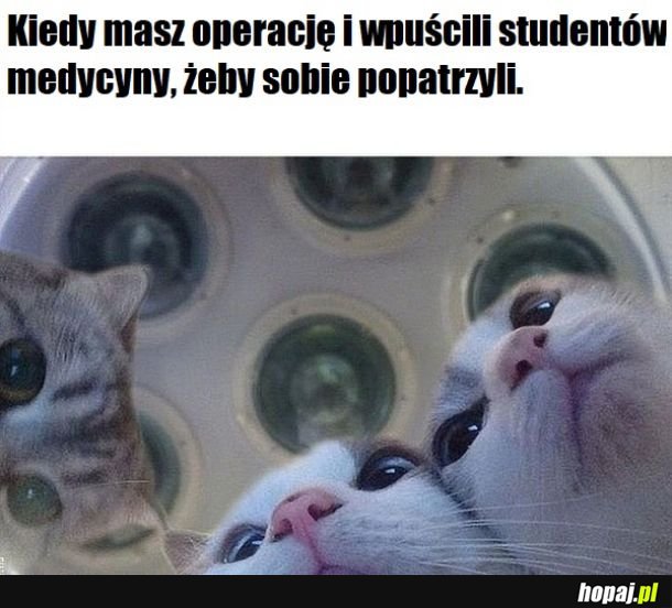 Studenci medycyny