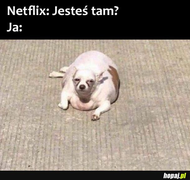 Netflix 