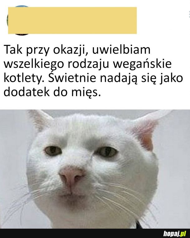 Jestem fanem wege kotletów