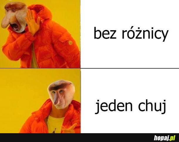 Język januszowy 