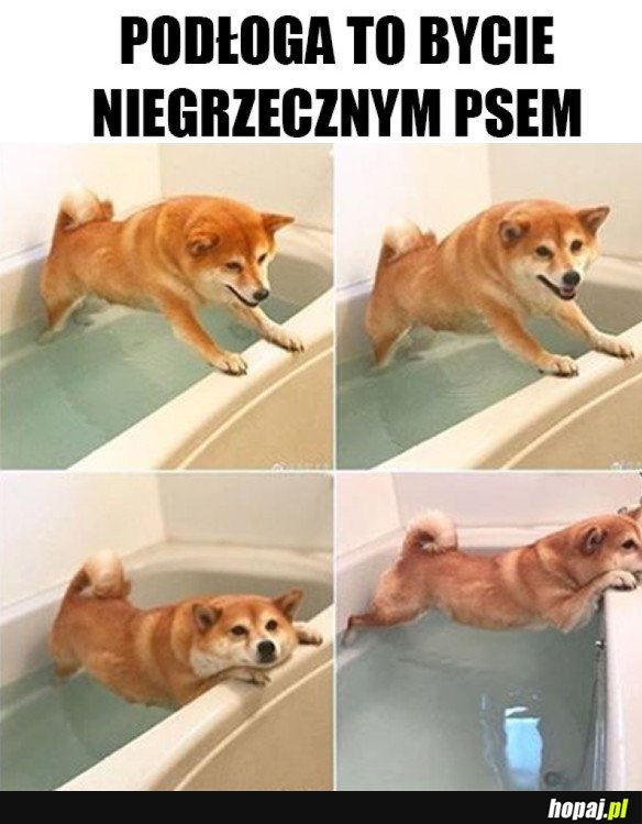 NAJGRZECZNIEJSZY PIESEŁ