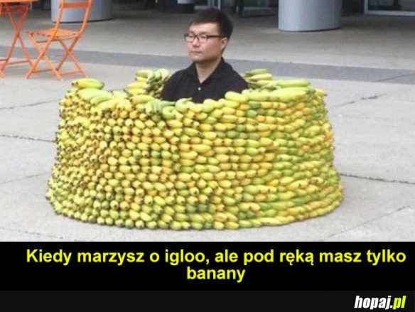 JAK SIĘ NIE MA, CO SIĘ LUBI, TO SIĘ LUBI, CO SIĘ MA
