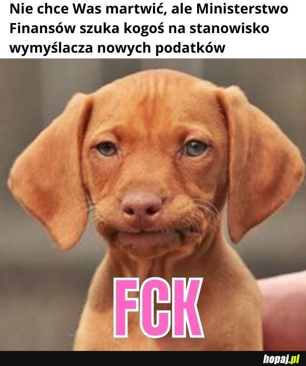 Myślałem, że od tego jest Mati