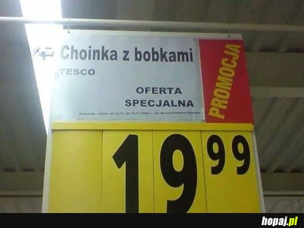 Oferta specjalna! 