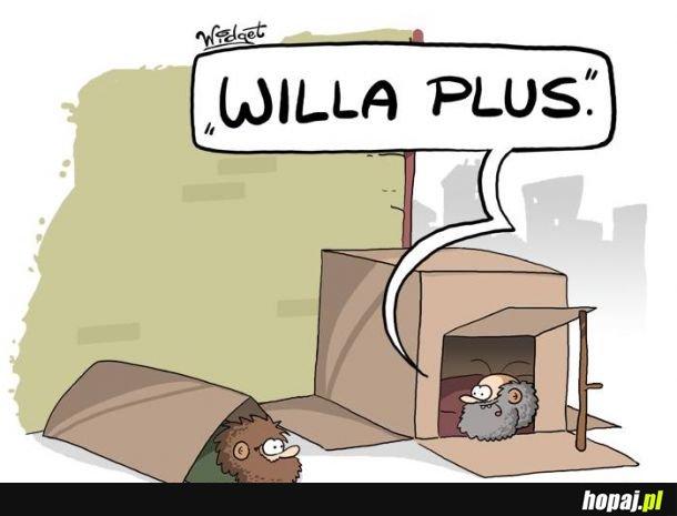 Willa Plus 