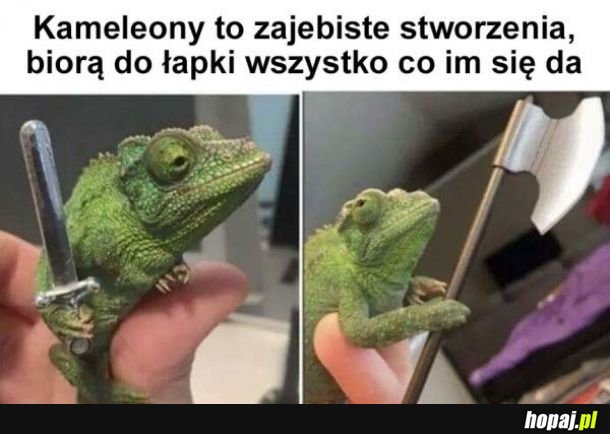 Kameleony