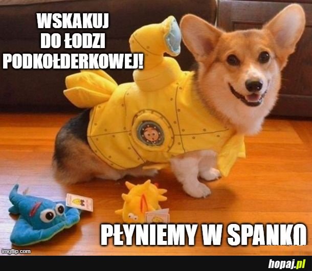 Wskakuj szybko!