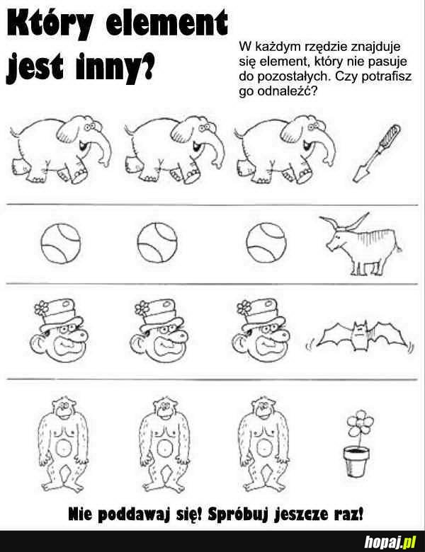 Który element jest inny?