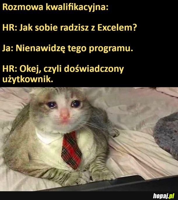 Excel
