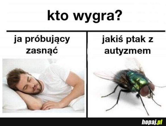 KTO WYGRA?