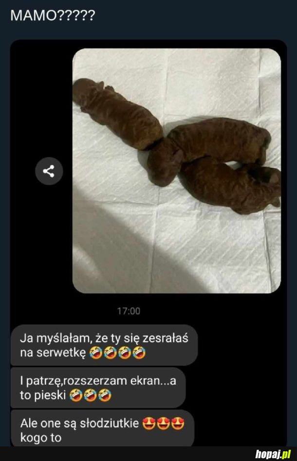 Można się pomylić