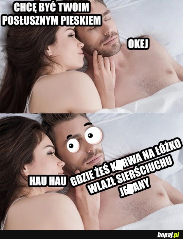 Posłuszny piesek