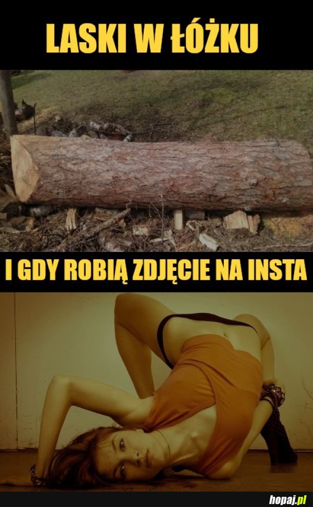 Poziom gibkości i wygimnastykownia