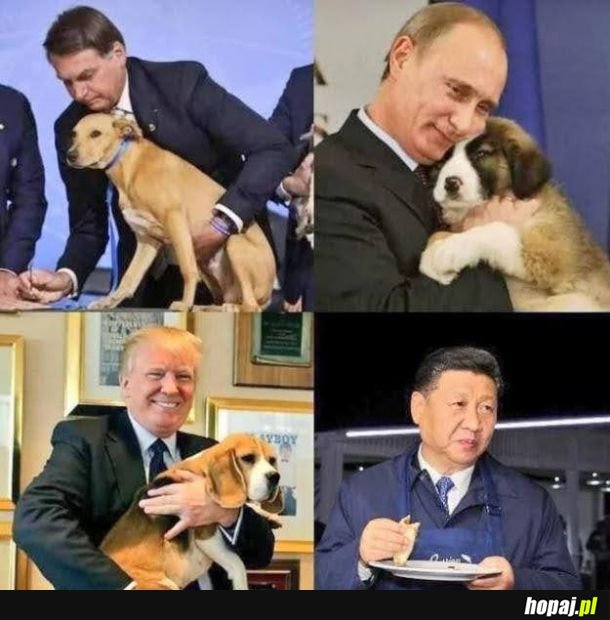 Kubuś puchatek