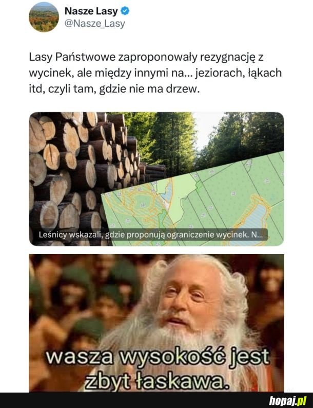 Lasy państwowe